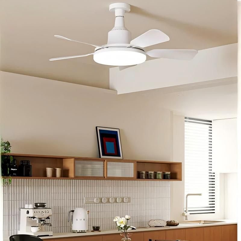 Ventilatorlamp met fitting en afstandsbediening