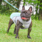 Honden Koelvest™ – UV-Bescherming 70% | 3-Laags Koelstof | Zomerhitte Bescherming voor Honden