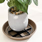 Root-Saving Pot Riser