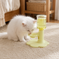 🐱💧 Verstelbare kattenwaterfontein – 3 niveaus, 650 ml, antislip, geef je kat comfortabele hydratatie zonder nekbelasting, altijd vers stromend water 🌊🐾