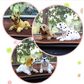 📢📢49% OFF !! ⏰Cute Dog Bobblehead Car Dashboard Decoration
