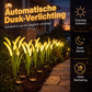 Zonne-energie gevoede vossenstaartgras decoratieve tuinlampen