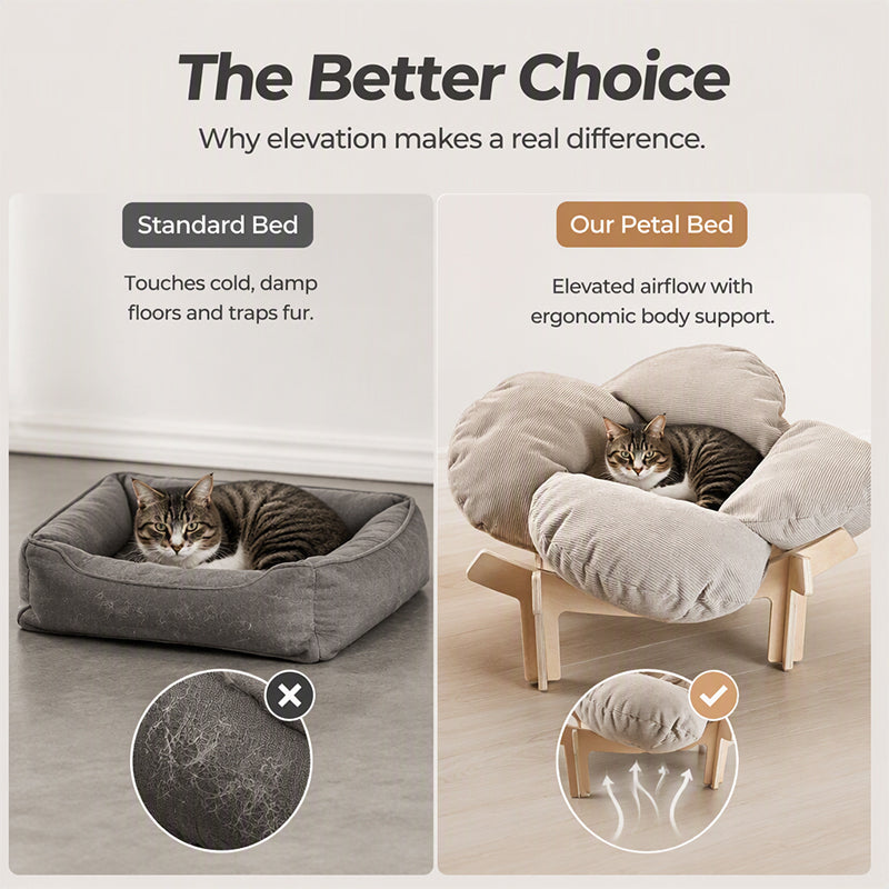🌼 TIJDELIJK 50% KORTING! 🐾 Verhoogd Bloemblad Vormig Houten Huisdierenbed met Kussen - Orthopedische Ondersteuning, Ademend Ontwerp & Duurzaam Massief Hout - Een Gezellig Toevluchtsoord voor je Harige Vriend ✨