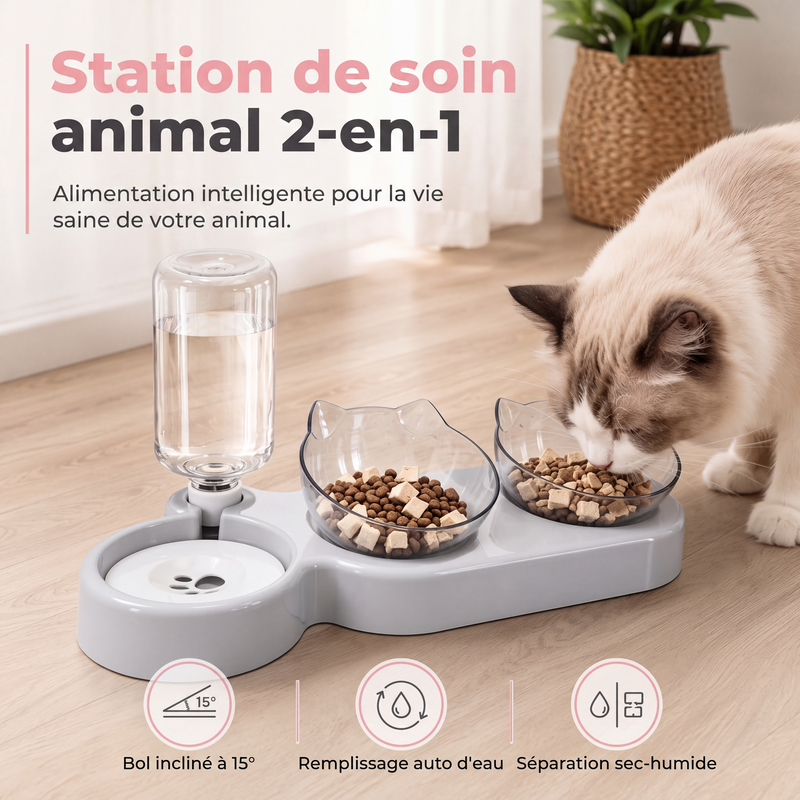 🐶🐱 -60% ! 🥣Gamelle Surélevée 2 en 1 pour Animaux – Design Incliné, Remplissage Automatique & Base Antidérapante.