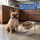 🐕 50% KORTING – 15° Orthopedische Hondenvoerbak | Voor Rustiger Eten | SUS304 RVS | Vaatwasserbestendig