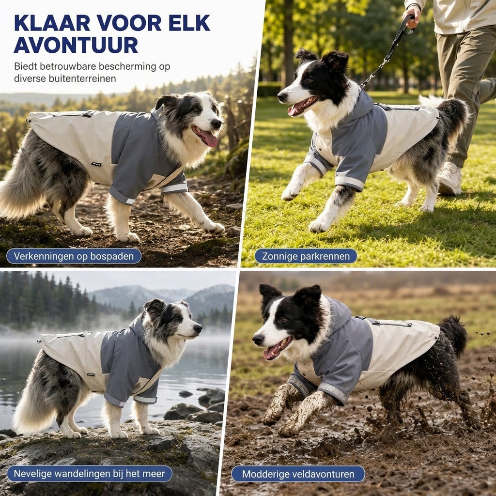 ⏳ Beperkte Tijd Speciale Aanbieding ⏰ Waterdichte Hondenregenjas met Blokkleurig Ontwerp, Buitenkleding voor Huisdieren met Vuilafstotende Beenbescherming