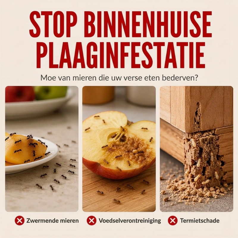 ⏰Pompoenvormige Fruitliegval voor Binnen