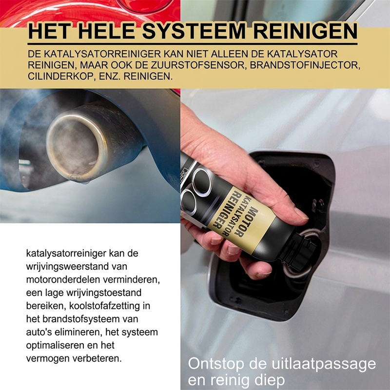 Katalysator & Brandstofsysteem Reinem