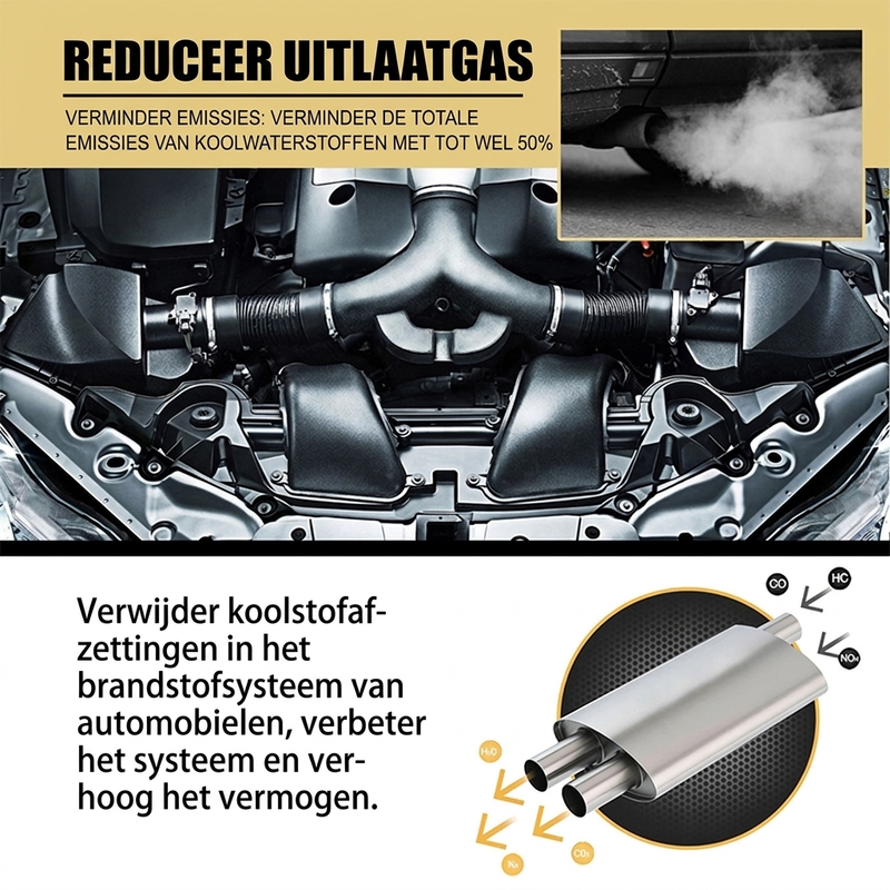 Katalysator & Brandstofsysteem Reinem