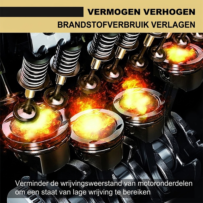 Katalysator & Brandstofsysteem Reinem