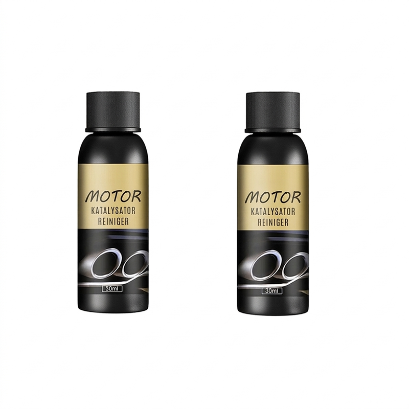 Katalysator & Brandstofsysteem Reinem
