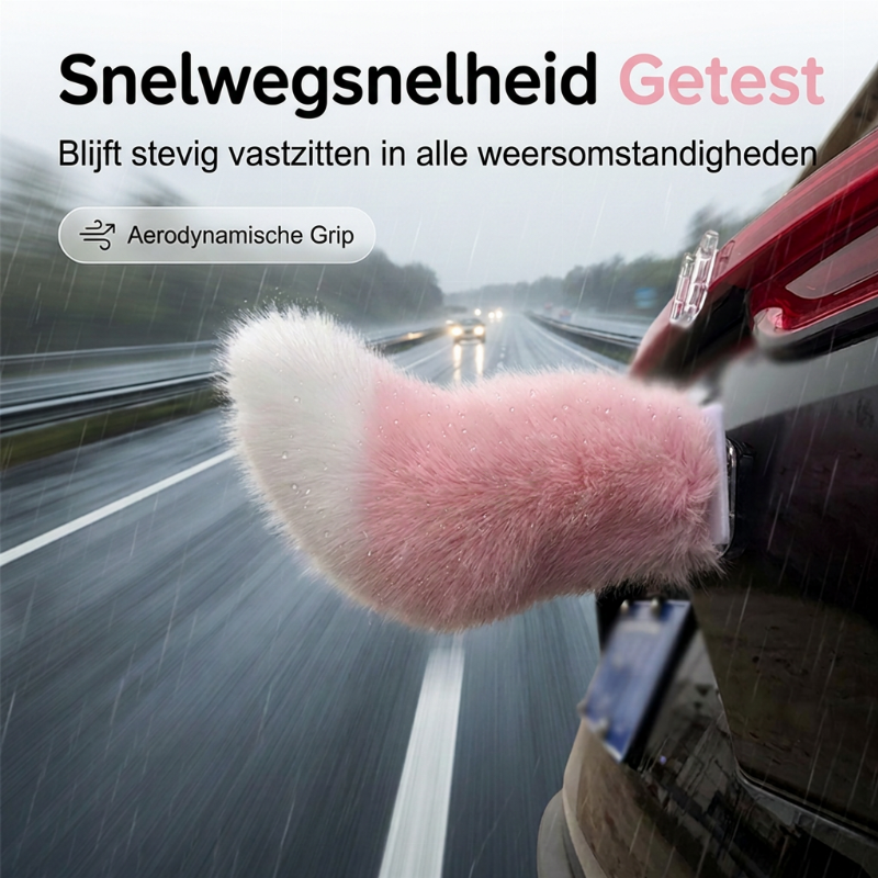 Elektrische auto met afstandsbediening achter