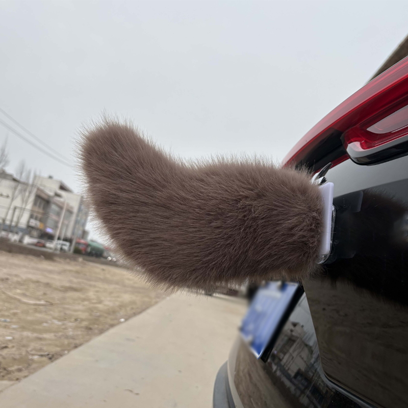 Elektrische auto met afstandsbediening achter