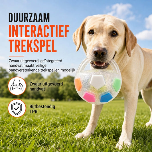 Interactieve Hondenvoetbal Speelbal met Grijplussen