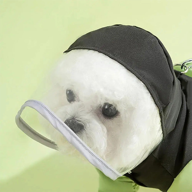 🐶Schattige Regenjas met Masker voor Gezelschapsdieren🐶