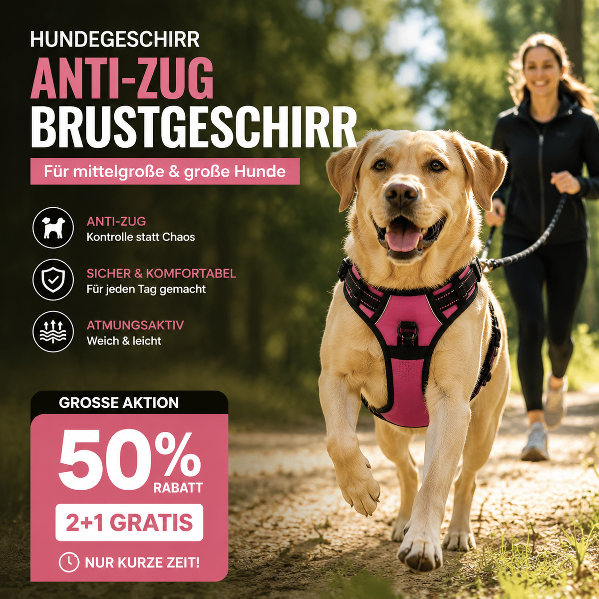 Anti-Trek Hondentuig – Reflecterend, Ademend, met Dubbel Leibandbevestigingspunt